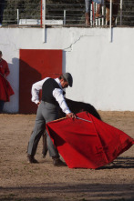 Imagen de Tierra de toros - 2