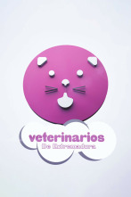 Imagen de Veterinarios de Extremadura - 2