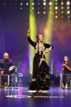 Imagen de Festival de la canción de Extremadura (T2025) - 2