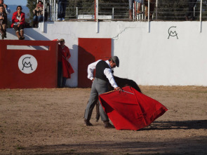 Imagen de Tierra de toros - 1