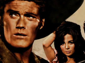 Imagen de Noche de violencia - 1