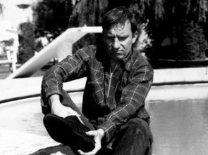 Imagen de Viaje de novios - 1