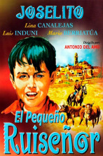 Imagen de El pequeño ruiseñor - 2