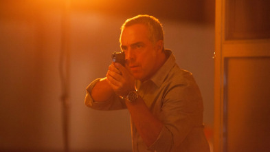 Imagen de Bosch (T1) - 3