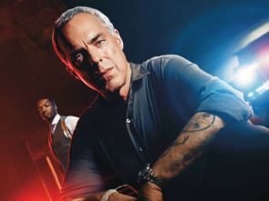 Imagen de Bosch (T1) - 1