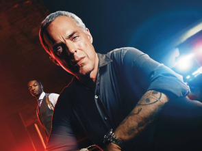 Imagen de Bosch (T2) - 1