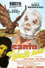 Imagen de El Santo y la Tigresa - 2