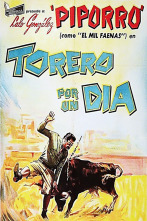 Torero por un día