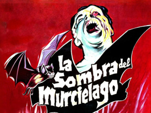 La sombra del murciélago