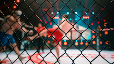 Imagen de UFC Fight Night:... (2020): Dustin Poirier vs Dan Hooker - 3
