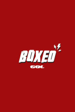 Imagen de Boxeo - 2