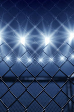 Imagen de Ultimate Fighting... (2009): Dan Henderson vs Michael Bisping - 2