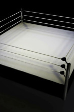 Imagen de Ultimate Fighting... (2009): Brock Lesnar vs Frank Mir - 2