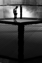 Imagen de UFC 235: Jones vs Smith (2019) - 2