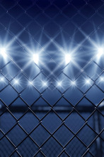 Imagen de UFC 245: Usman vs Covington (2019) - 2