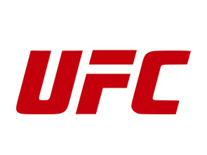 Imagen de UFC 110: Nogueira... (2010): Wanderlei Silva vs Michael Bisping - 1