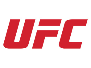 Imagen de UFC 236: Holloway... (2019): Kelvin Gastelum vs Israel Adesanya - 1