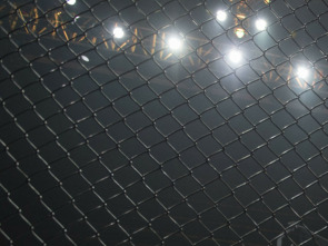 Imagen de UFC Fight Night:... (2020): Dustin Poirier vs Dan Hooker - 1