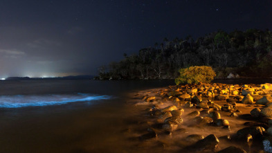 Los secretos de la...: La criatura del lago Eacham