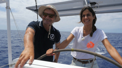 Imagen de Gent de la mar: Pesca Professional Amb Joan Griñan, Surers Amb Curricà Antic, Pesca Amb Cuina I Xaranga. - 3