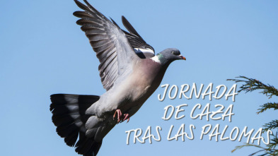 Imagen de Jornada de caza tras las palomas - 3