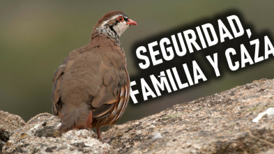 Imagen de Seguridad, familia y caza - 3