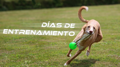 Imagen de Día de entrenamiento - 3