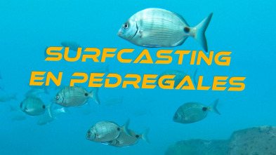 Surfcasting en pedregales