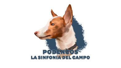 Podencos: La sintonía del campo