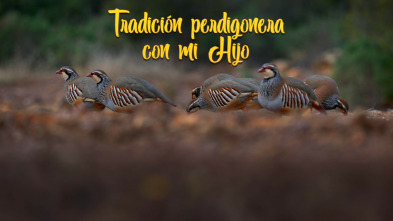 Imagen de Tradición perdigonera con mi hijo - 3