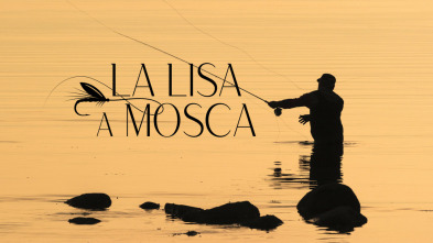 Imagen de La lisa a mosca - 3