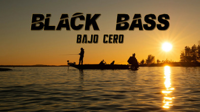 Blackbass bajo cero