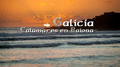 Galicia, calamares en Baiona