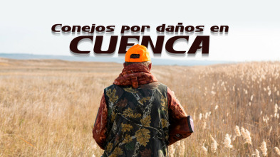 Imagen de Conejos por daños en Cuenca - 3