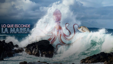 Imagen de Lo que esconde la marea - 3