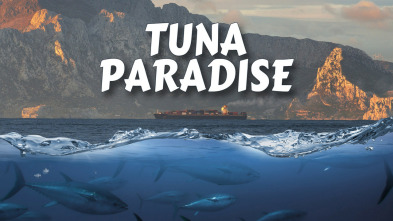 Tuna paradise