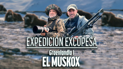 Expedición excopesa a Groenlandia Cap1. el muskox