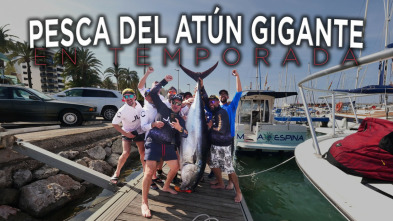 Imagen de Pesca del atún gigante en temporada - 3