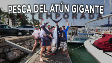 Pesca del atún gigante en temporada