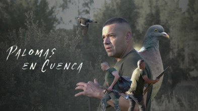 Imagen de Palomas en Cuenca - 3