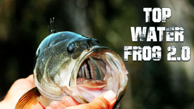Imagen de Top Water Frog 2 0 - 3