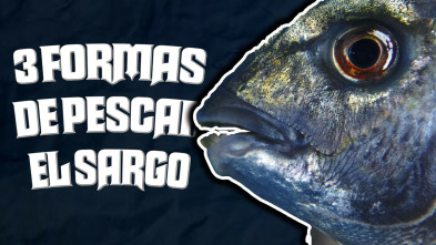 Tres formas de pescar el sargo