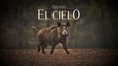 Imagen de Tocando el cielo - 3
