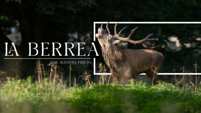 Berrea en la Cordillera Cantabrica