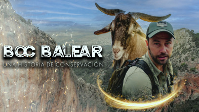 Imagen de Boc balear, una historia de conservacion - 3