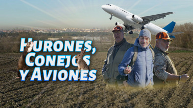 Imagen de Hurones conejos y aviones - 3