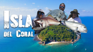 Imagen de Islas de coral - 3