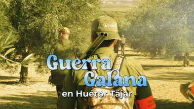 Imagen de Guerra galana en Huétor Tájar - 3