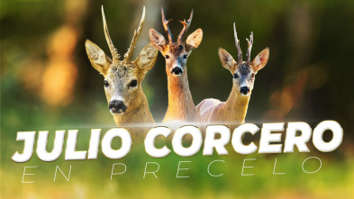Imagen de Julio Corcero - 3