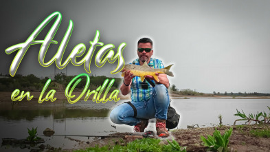 Imagen de Aletas en la orilla - 3